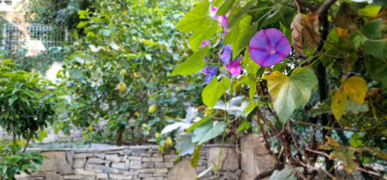 Studio Au Bas Des Cretes En Bas De Villa A La Ciotat Proche De La Mer Et De Marseille Buitenkant foto